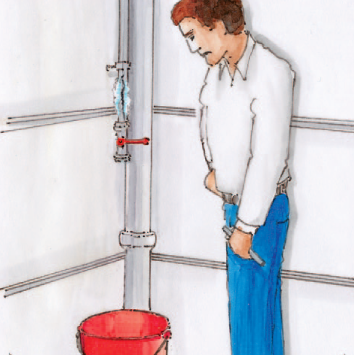 Picture frozen sprinkler system